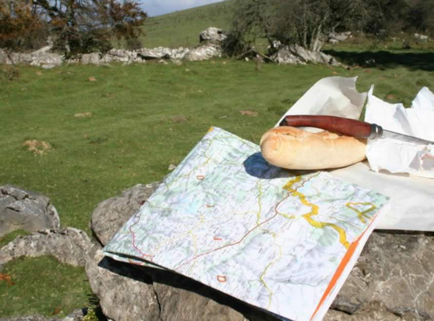 panier-pic-nic